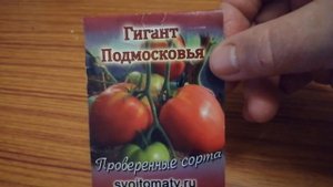 Томат крупноплодный ГИГАНТ ПОДМОСКОВЬЯ. Хорош для Подмосковья.