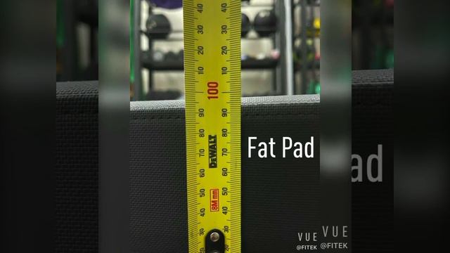 FITEK Flat Bench, IPF Spec, Fat Pad смотреть онлайн