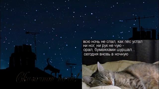 СПОКОЙНОГО СНА!     НОЧНОЕ ТАНГО с КОТОМ.