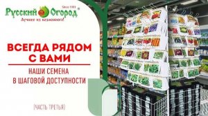 #Цветы для любителей экзотики и не только. #Семена #Дача #Огород #Садиогород