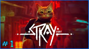 Погуляем, повиляем. Stray  #1