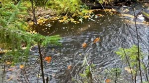 Рыбалка на реке Печора 2023 встреча одноклассников