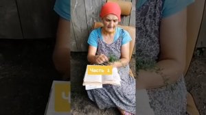Горец Птичий или Спорыш его Полезные Свойства