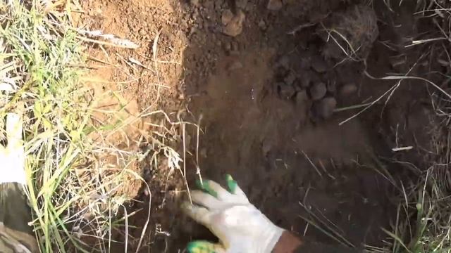 ЧУГУННЫЕ БАТАРЕИ, ТРАКИ И ЗАПЧАСТИ ОТ ТЕХНИКИ НА ПОЛЕ МЕТАЛЛОЧУДЕС! МЕТАЛЛОКОП С NOKTA MAKRO SIMPLE смотреть онлайн