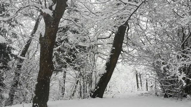 Зимняя Сказка | расслабляющая музыка  #сон #спокойствие #музыка #расслабление #заснуть