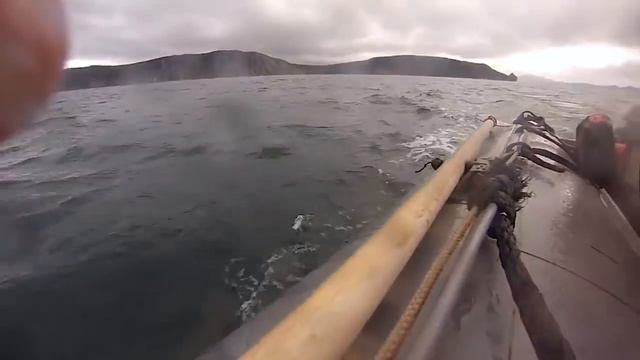 Стая косаток "атакуют" лодку смотреть онлайн