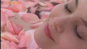 Бэйдайхэ - оздоровительный комплекс "Парадиз"