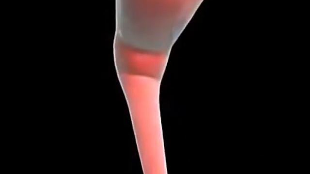 Ролик о раке смотреть онлайн