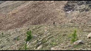 Сплав по реке Собь 2023! Плывём по реке Собь на катамаранах! Гора Рай-Из!