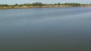 Рыбалка на сазана.  Народная снасть .