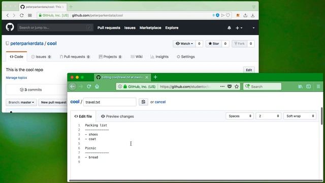 Github Pull Request