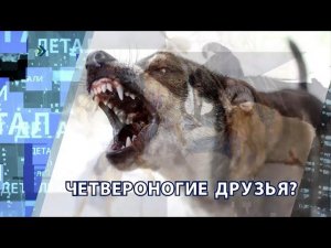"Детали недели" - Четвероногие друзья