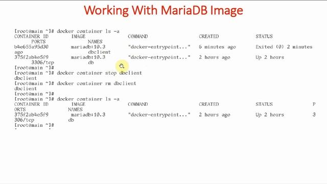28-How to setup MariaDB Database with Docker - 2 | Docker Tutorial for Beginners (Hindi) смотреть онлайн