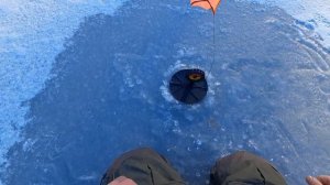 Рыбалка на Ротана зимой по первому льду!