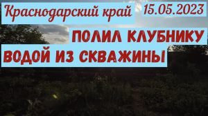 Краснодарский край. Скважина. Полив клубники и сада(15.05.2023)