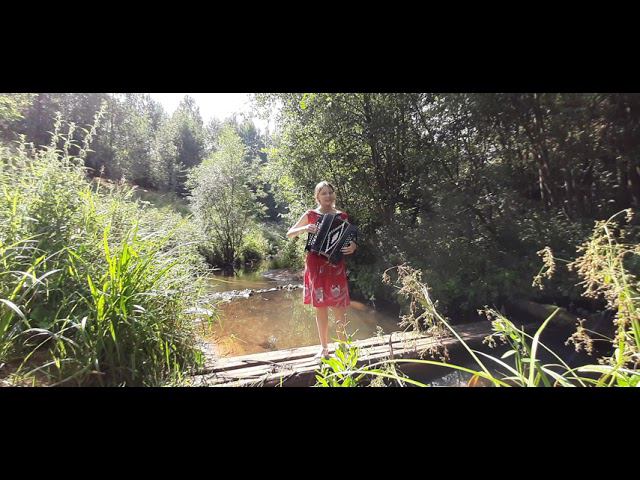 Каникулы в деревне #shorts #гармонь #песниподгармонь