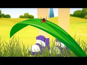 КАК ЗАЩИТИТЬСЯ ОТ КЛЕЩЕЙ?