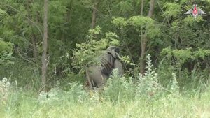 Гуманитарное разминирование