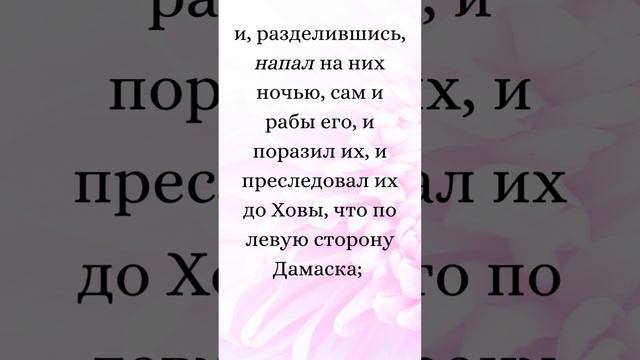 Бытие 14:15-16 (Русская Синодальная Библия) #библия #писание #русскаясинодальнаябиблия #бытие