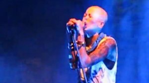 Alai Oli - "Дельфины"