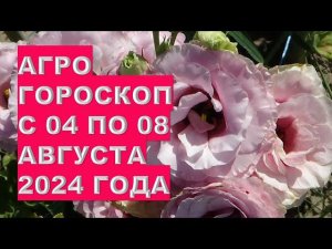 Агрогороскоп с 04 по 08 августа 2024 года Agrohoroscope from 04 to 08 August 2024