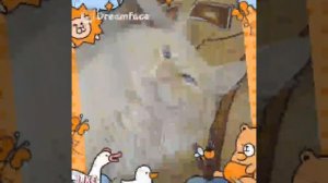 кот малыш