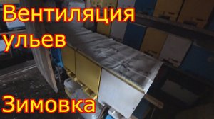 Зимовка в омшаннике. Вентиляция в ульях