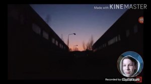 5 СИРЕНОГОЛОВЫХ СНЯТЫХ НА КАМЕРУ [ Чёрный Кот ] | РЕАКЦИЯ НА КОТЫ ЮТУБЕРЫ | Nick YouTuber