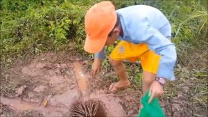 Выживание. Простой способ ловить змей для еды!