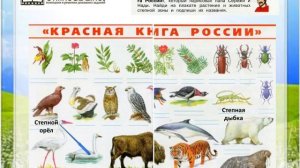 Задание 7 Зона степей - Окружающий мир 4 класс (Плешаков А.А.) 1 часть
