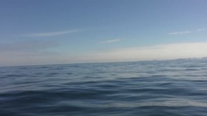 Рыбалка морская, полуостров Рыбачий!