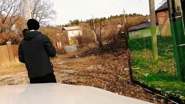 Валим дерево. Осень 2020 смотреть онлайн