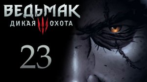 The Witcher 3 / Ведьмак 3 - Колодец с сокровищами и много Гвинта - Прохождение [#23] | PC (2017 г.)
