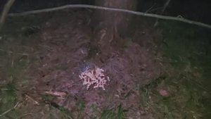 АНТАРАМАЙР. ЛЕСНАЯ МАТЕРЬ.  ДЛЯ БЛАГОПОЛУЧИЯ. ДЛЯ ВСЕХ.  ВЕДЬМИНА ИЗБА  ▶️  ИНГА ХОСРОЕВА