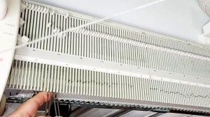 Бактус начало от центра с дополнительной нити