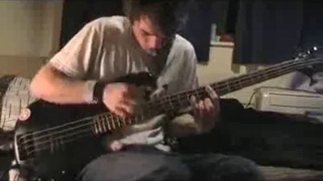 Bass solo Part 2- Tim Reynolds смотреть онлайн