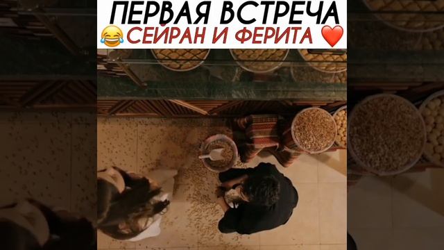 зимородок