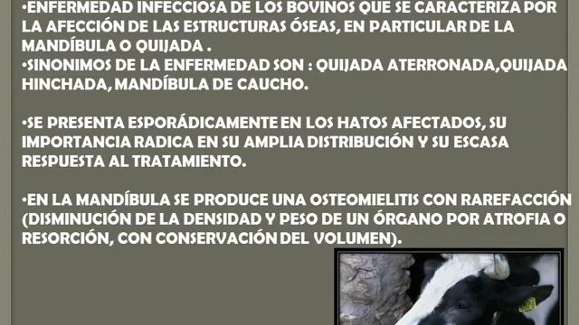 Actinomyces Bovis 3 смотреть онлайн