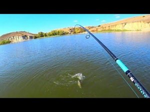 НАШËЛ ЛОГОВО ЭТОЙ РЫБЫ !!! ПОКЛËВКИ КАК УДАРЫ ТОКОМ! РЫБАЛКА