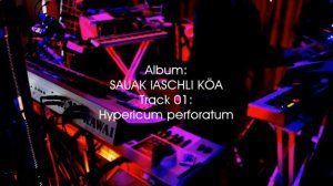 Vintage electronic music - preview (track 1) album " SAUAK IASCHLI KÖA" (2021)