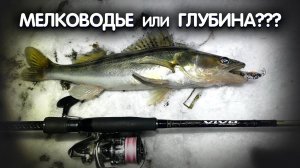 ГДЕ ИСКАТЬ СУДАКА в декабре? СУДАК на воблер, МОСКВА река! Зимний спиннинг. Ловля ночного судака.