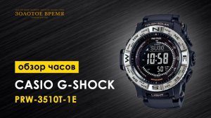 Часы наручные мужские Casio ProTrek PRW-3510Y-1E
