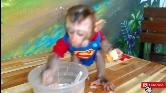 Baby Monkey Bim Bim and biz drinks rainbow milk tea and takes care of the farm | Animals Baby Monke смотреть онлайн