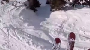 Экстрим, горные лыжи, красивое видео