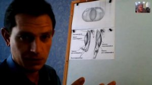 А. Мишин  27авг18 - Что, Чем и Как мы лечим. Ч1.