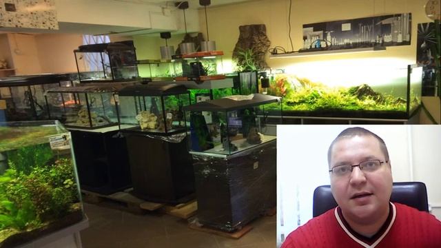 КАК ОТКРЫТЬ ЗООМАГАЗИН. Подробный разбор бизнес идеи.Очень доходный вид бизнеса. смотреть онлайн