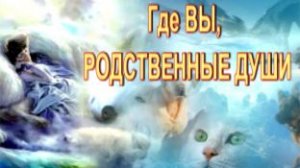 Перевоплощение четвероногих и родственные души