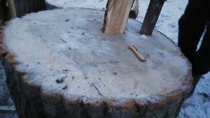 Как расколоть огромный пень | Самый простой способ расколоть большой пень