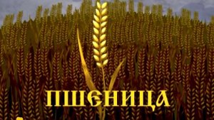 Потомучка 69. Зерновые культуры. История России 19 век