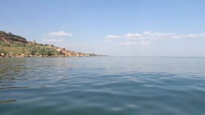 VLOG Алиса меня удивила